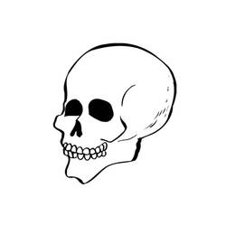 Skull (Objects) coloring page #204923 to print and color