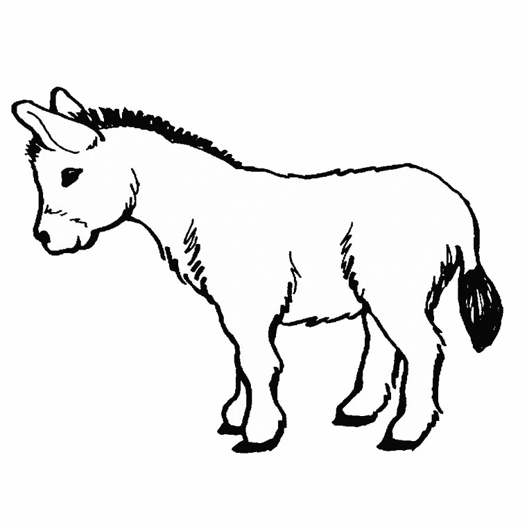 Coloriage gratuit Âne #484 de la collection Animaux à imprimer