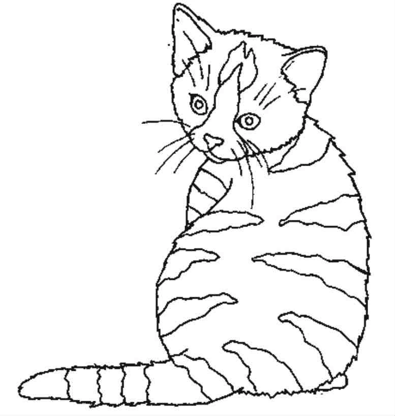Coloriage gratuit Chat #1843 de la collection Animaux à imprimer