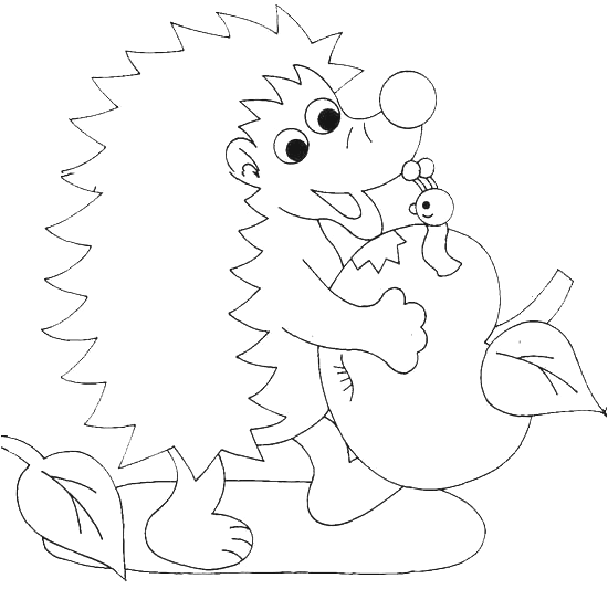 Coloriage gratuit Hérisson #8393 de la collection Animaux à imprimer