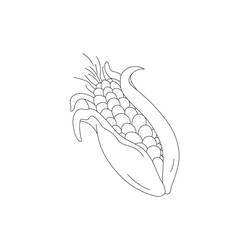 Coloriage Maïs (Alimentation et Nutrition) #207457 à imprimer et colorier