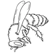 Coloriage Abeille (Animaux) #141 à imprimer et colorier