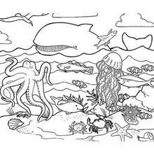 Coloriage Animaux marins (Animaux) #21989 à imprimer et colorier