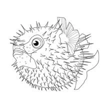 Coloriage Animaux marins (Animaux) #22034 à imprimer et colorier