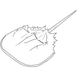 Coloriage Animaux marins (Animaux) #22085 à imprimer et colorier