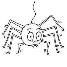 Coloriage Araignée (Animaux) #585 à imprimer et colorier