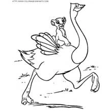 Coloriage Autruche (Animaux) #737 à imprimer et colorier