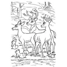 Coloriage Biche (Animaux) #1099 à imprimer et colorier
