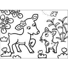 Coloriage Biche (Animaux) #1125 à imprimer et colorier