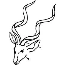 Coloriage Biche (Animaux) #1141 à imprimer et colorier