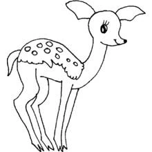 Coloriage Biche (Animaux) #1142 à imprimer et colorier