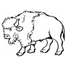 Bison - Coloriages gratuits à imprimer