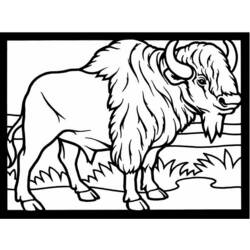 Coloriage Bison (Animaux) #1191 à imprimer et colorier