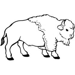 Coloriage Bison (Animaux) #1195 à imprimer et colorier
