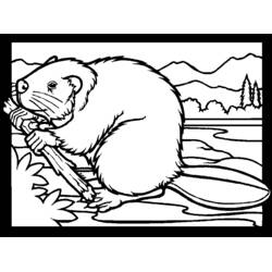 Coloriage Castor (Animaux) #1585 à imprimer et colorier