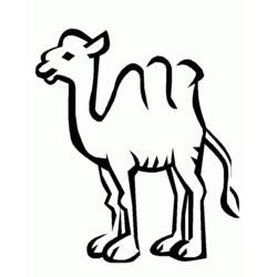 Coloriage Chameau (Animaux) #1693 à imprimer et colorier