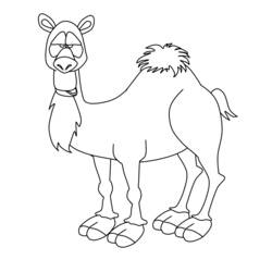 Coloriage Chameau (Animaux) #1704 à imprimer et colorier
