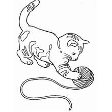 Coloriage Chat (Animaux) #1768 à imprimer et colorier