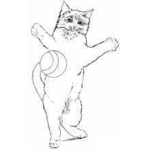 Coloriage Chat (Animaux) #1908 à imprimer et colorier