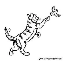 Coloriage Chaton (Animaux) #18114 à imprimer et colorier