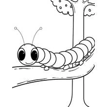 Coloriage Chenille (Animaux) #18259 à imprimer et colorier