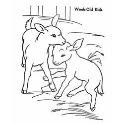 Coloriage Chèvre (Animaux) #2518 à imprimer et colorier