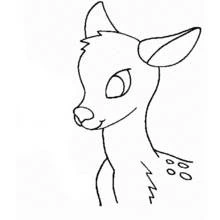 Coloriage Chevreuil (Animaux) #2665 à imprimer et colorier
