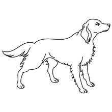 Coloriage Chiot (Animaux) #2995 à imprimer et colorier