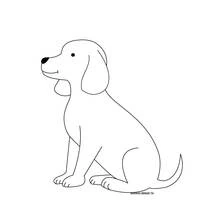 Chiot - Coloriages gratuits à imprimer