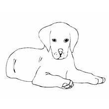 Coloriage Chiot (Animaux) #3052 à imprimer et colorier