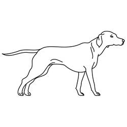 Coloriage Chiot (Animaux) #3080 à imprimer et colorier