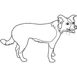 Coloriage Chiot (Animaux) #3088 à imprimer et colorier