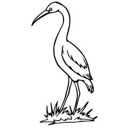 Coloriage Cigogne (Animaux) #185245 à imprimer et colorier