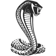 Coloriage Cobra (Animaux) #3237 à imprimer et colorier