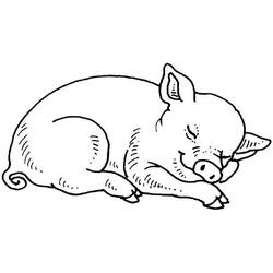 Coloriage Cochon (Animaux) #3590 à imprimer et colorier