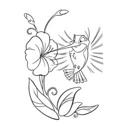 Coloriage Colibri (Animaux) #3866 à imprimer et colorier
