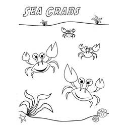 Coloriage Crabe (Animaux) #4645 à imprimer et colorier