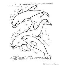 Coloriage Dauphin (Animaux) #5251 à imprimer et colorier