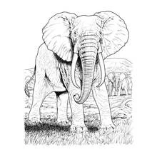 Coloriage Éléphant (Animaux) #6395 à imprimer et colorier