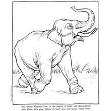 Coloriage Éléphant (Animaux) #6418 à imprimer et colorier