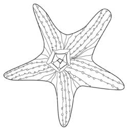 Coloriage Étoile de mer (Animaux) #6744 à imprimer et colorier