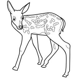 Coloriage Faon (Animaux) #206066 à imprimer et colorier