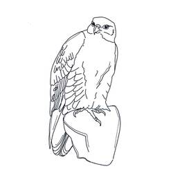 Coloriage Faucon (Animaux) #205266 à imprimer et colorier