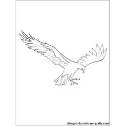 Coloriage Faucon (Animaux) #6851 à imprimer et colorier