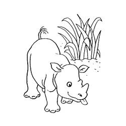 Coloriage Forêt Animaux (Animaux) #192061 à imprimer et colorier