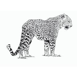 Coloriage Guépard (Animaux) #7868 à imprimer et colorier