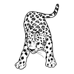 Coloriage Guépard (Animaux) #7870 à imprimer et colorier