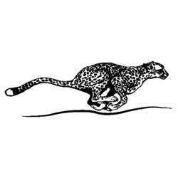 Coloriage Guépard (Animaux) #7890 à imprimer et colorier