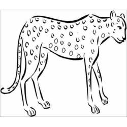 Coloriage Guépard (Animaux) #7897 à imprimer et colorier