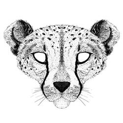 Coloriage Guépard (Animaux) #7922 à imprimer et colorier
